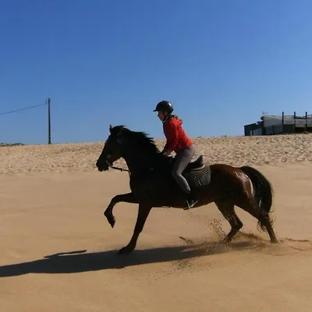 Prestige Five Sea View Marina By Tatihomes *